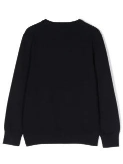 Kids/BOY POLO RALPH LAUREN KIDS Sweatshirt with embroidery